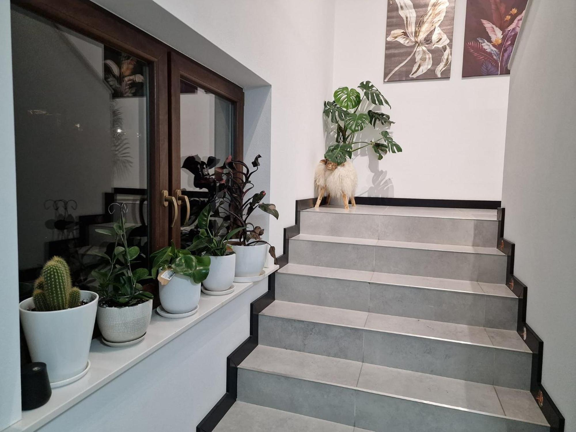 Male Ciche 36J Przy Ostrewkach, Widok Na Gory, Blisko Do Wyciagu Narciarskiego, Idealne Miejsce Na Wypad W Gory -Tarasowka-Zgorzelisko-Rusinowa Polana-Gesia Szyja-Palenica-Wiktorowki-Morskie Oko Murzasichle Dış mekan fotoğraf